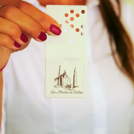 Les Moulins De Paillas Hotel 3*
